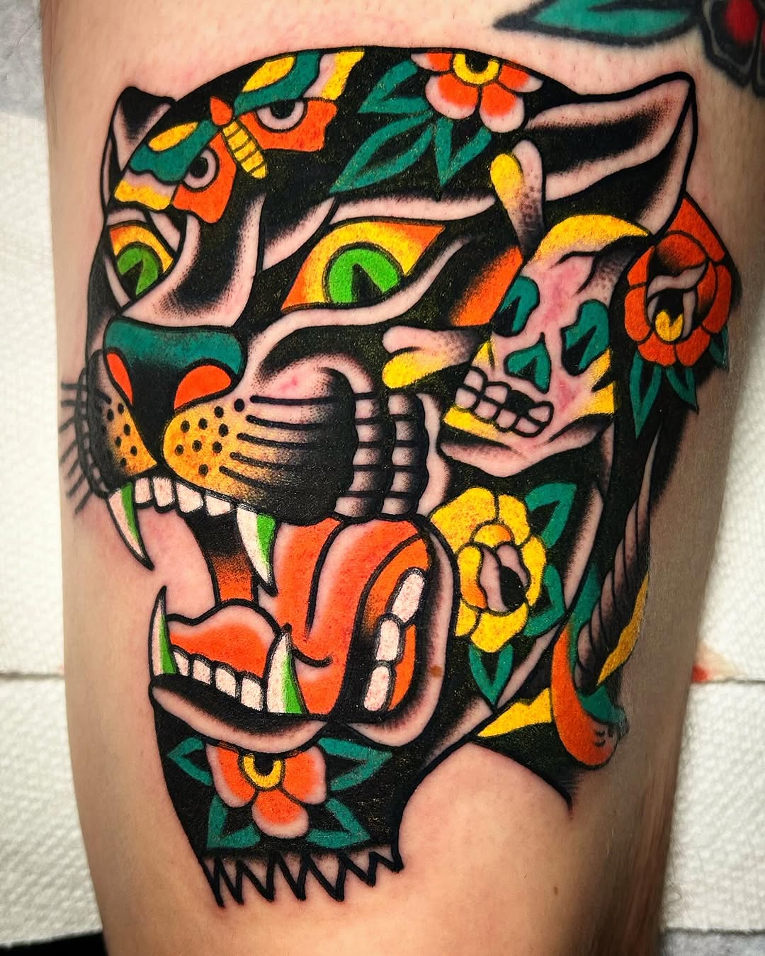 Tiger, Animal