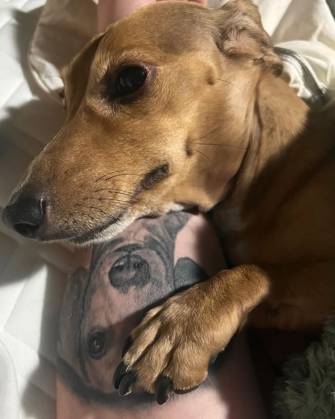 tattoosbyhalo