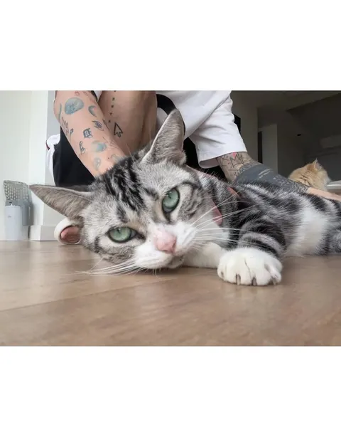 tattooist_yammy