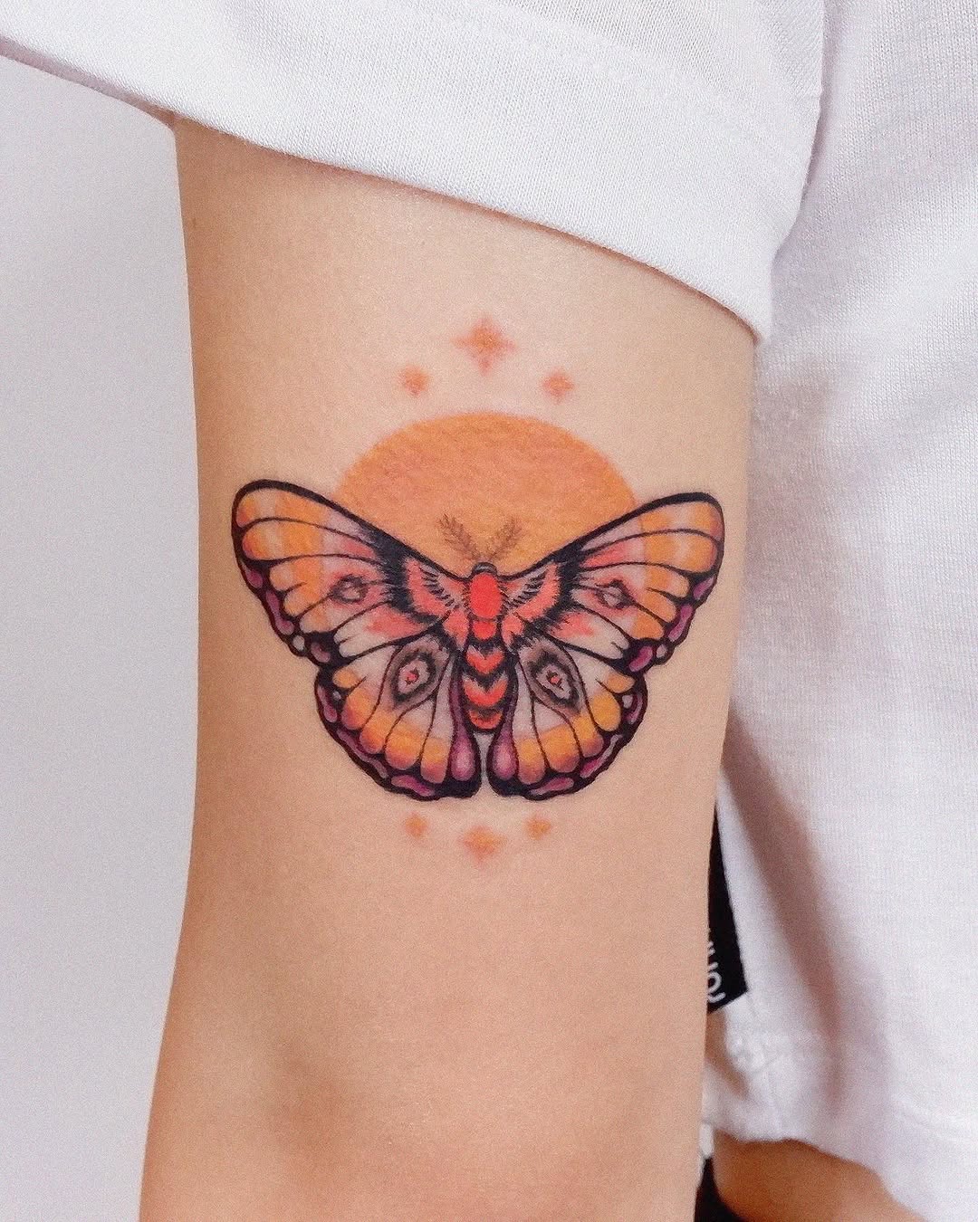 Animal, Nature, 나방