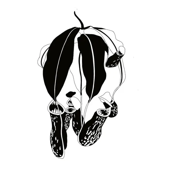 plantsnpokes