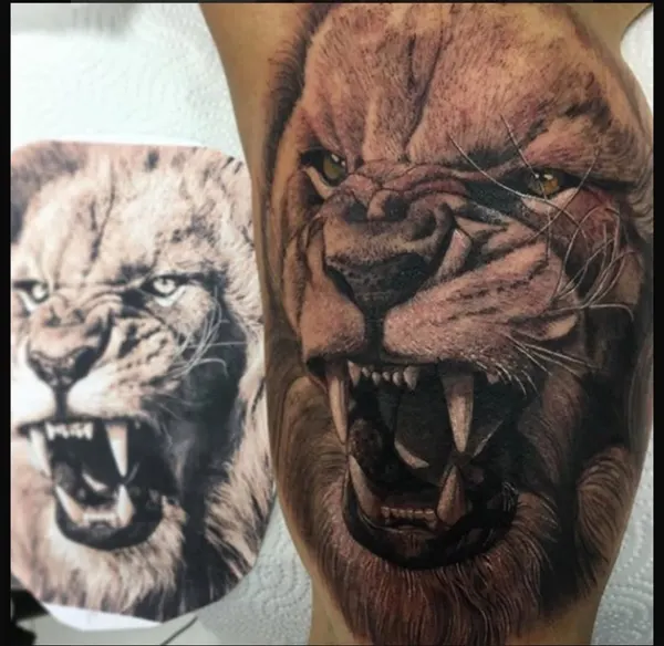 Tiger
