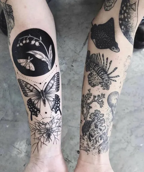 Animal, Nature