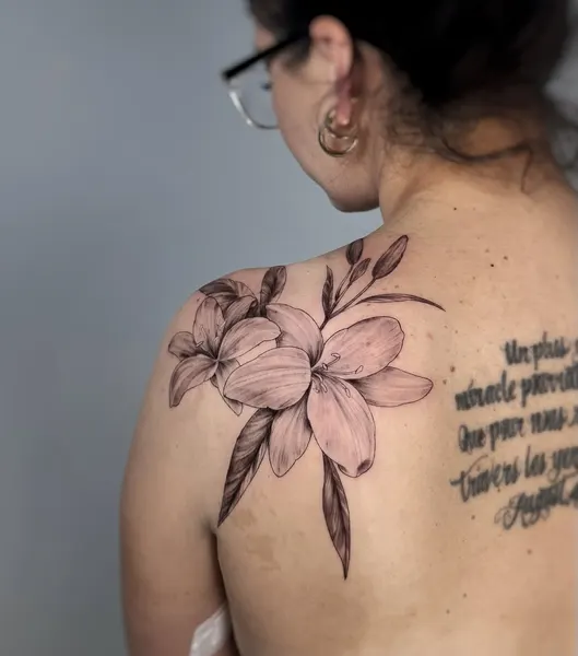 Flower, 백합, 난초