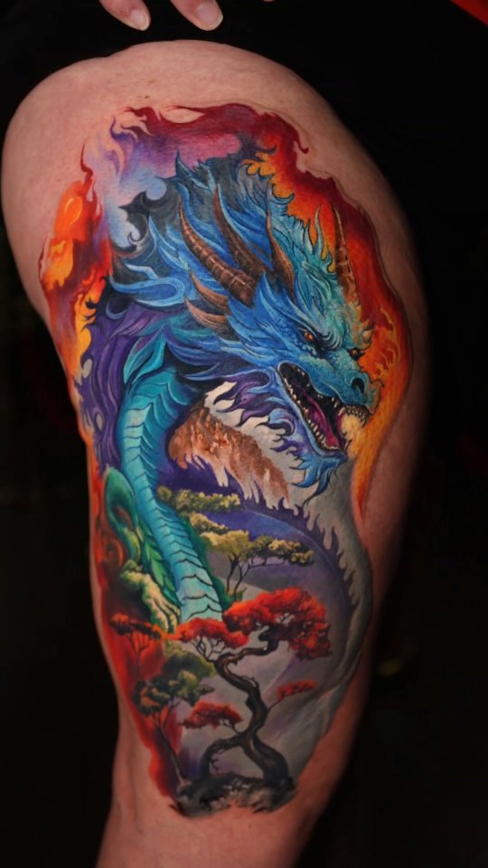 Dragon, 드래곤 라이더, 중국 용, 한국 용, 일본 용