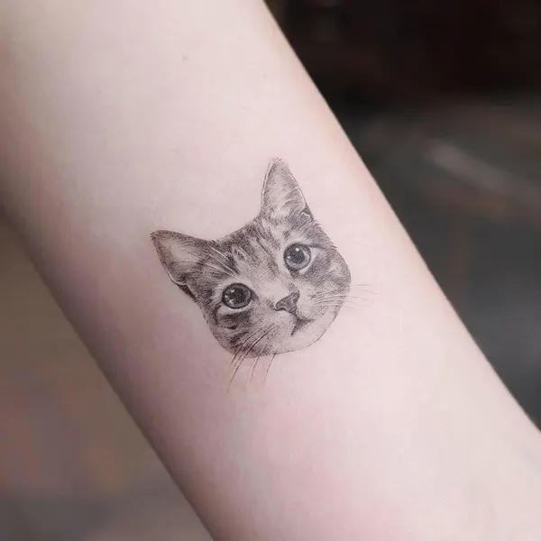 고양이, 반려동물, 여우 가면