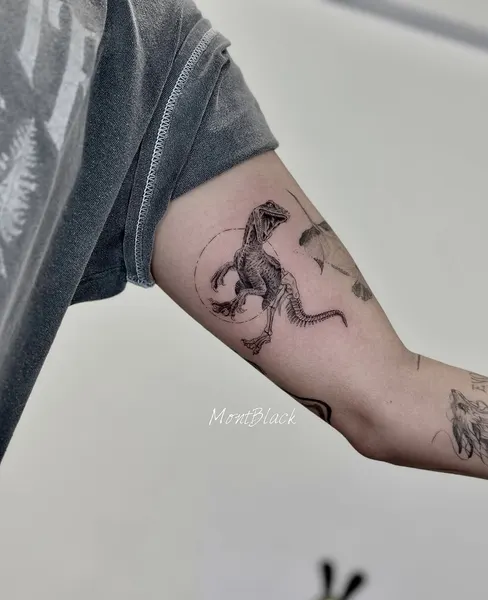 Dragon, 염소자리
