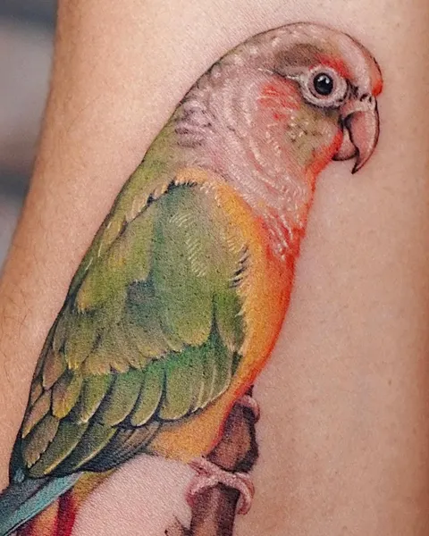 벌새, 앵무새, 새, Animal, Nature