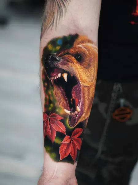 Tiger, Animal, 고릴라