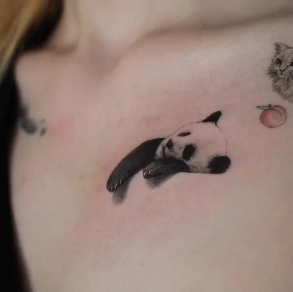 Animal, 판다