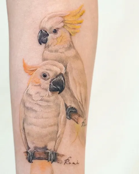 Animal, Nature