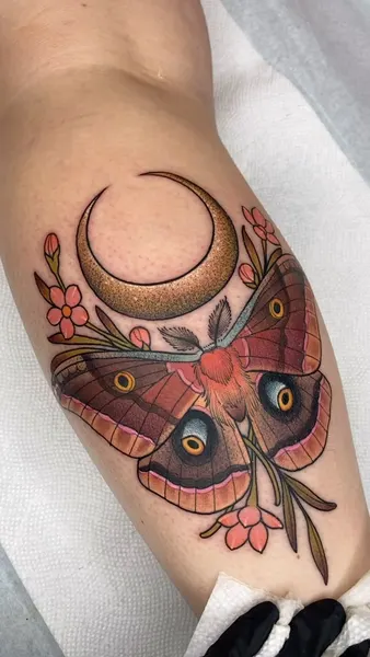 Animal, Nature