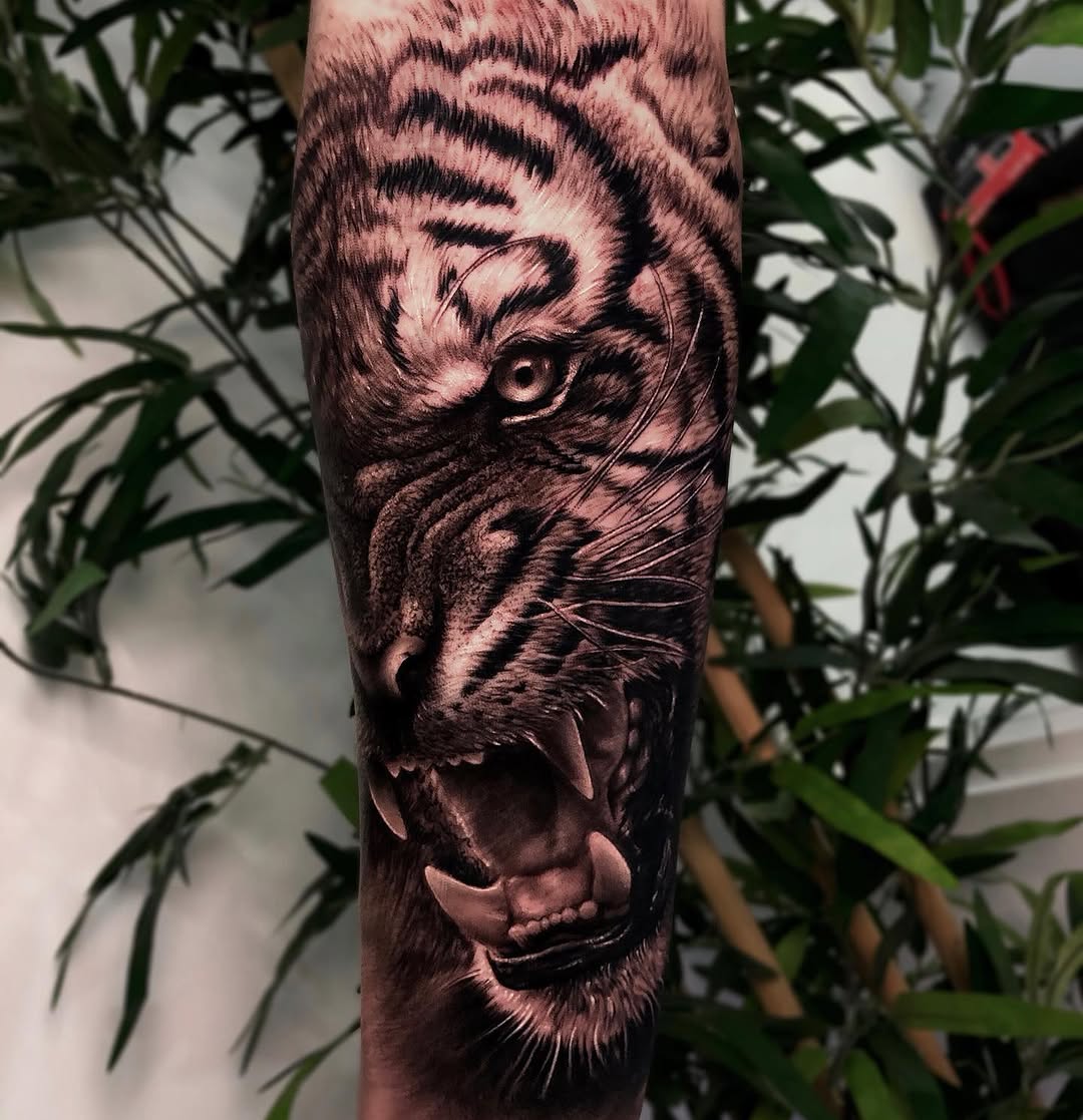 Tiger, 재규어, 중국 호랑이