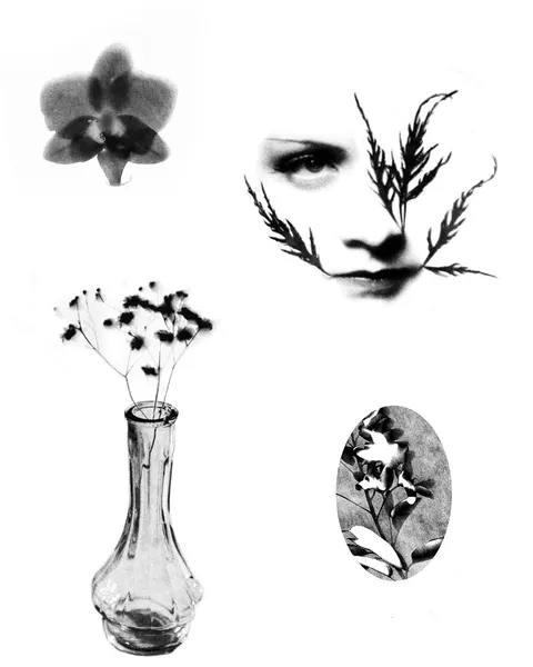 plantsnpokes