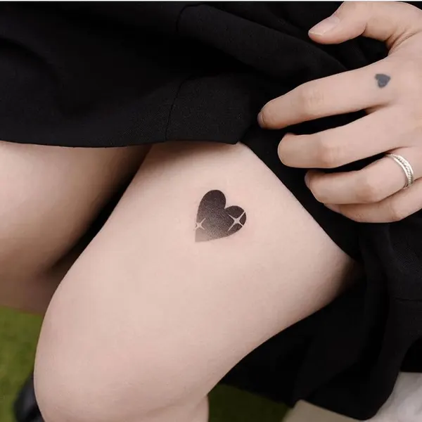 폐, Rose, Flower