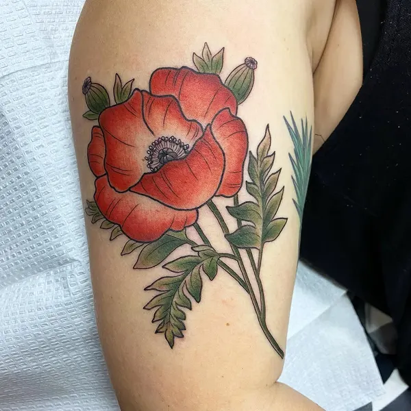 Flower, Rose, 양귀비