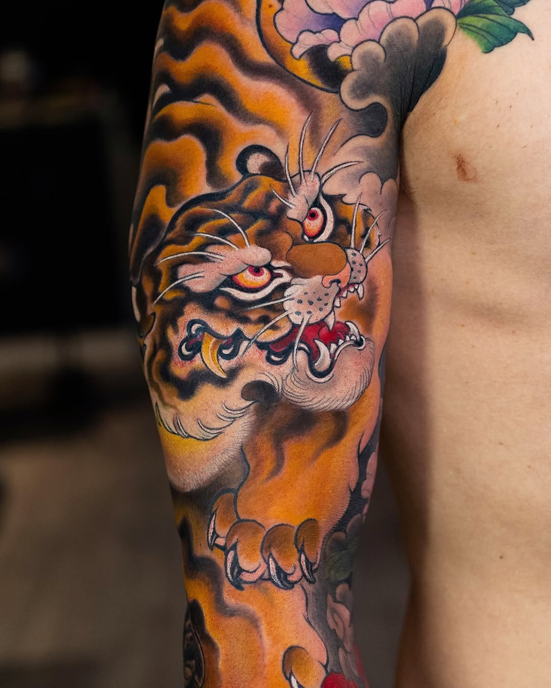 Tiger, 일본 호랑이, 한국 호랑이
