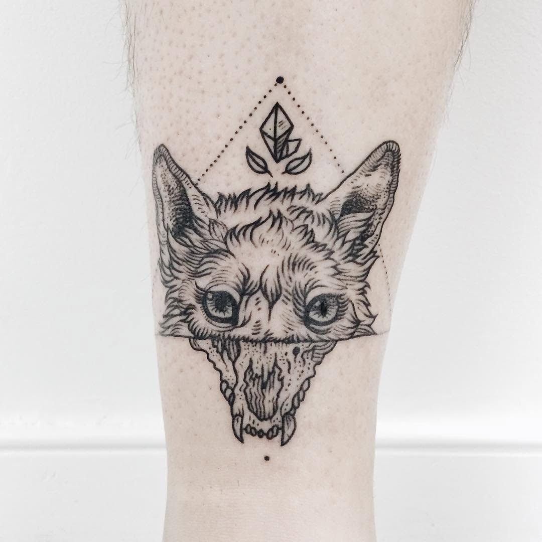 Tiger, Animal