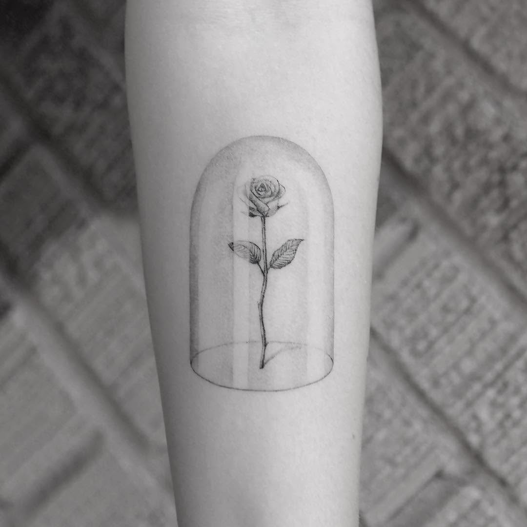 Flower, Rose