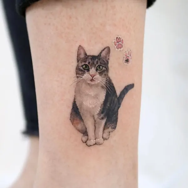 고양이