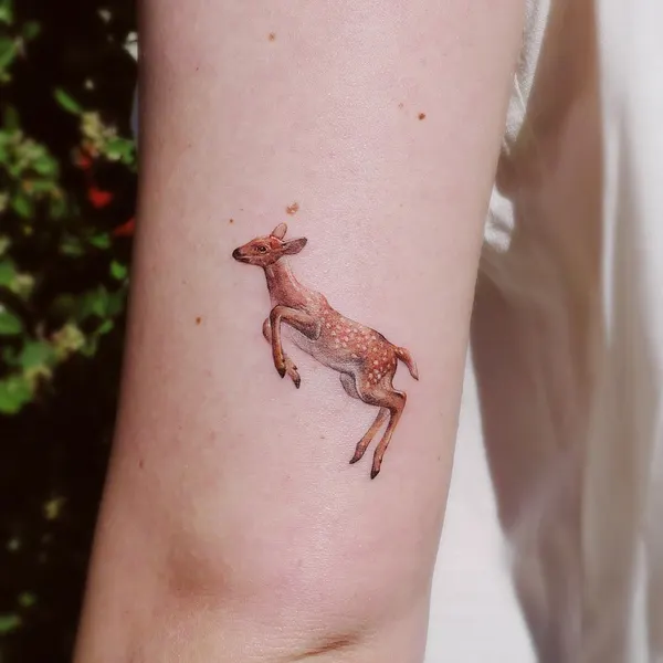사슴, Animal