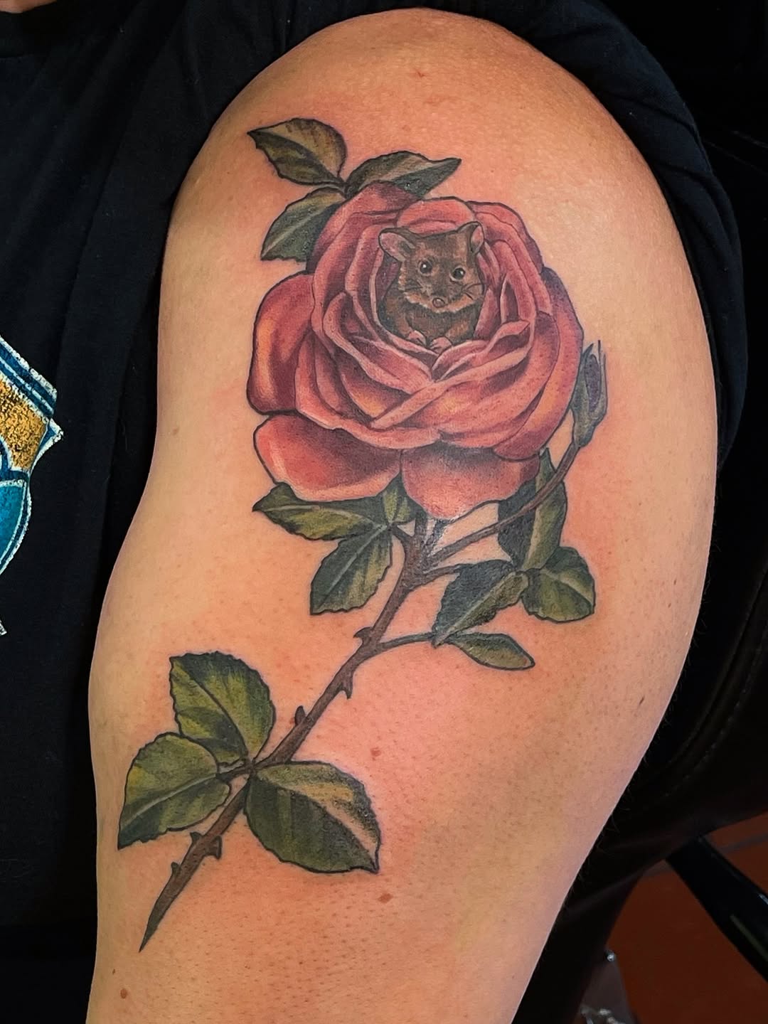 Flower, Rose