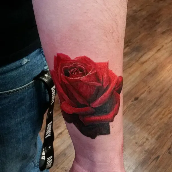 Flower, Rose