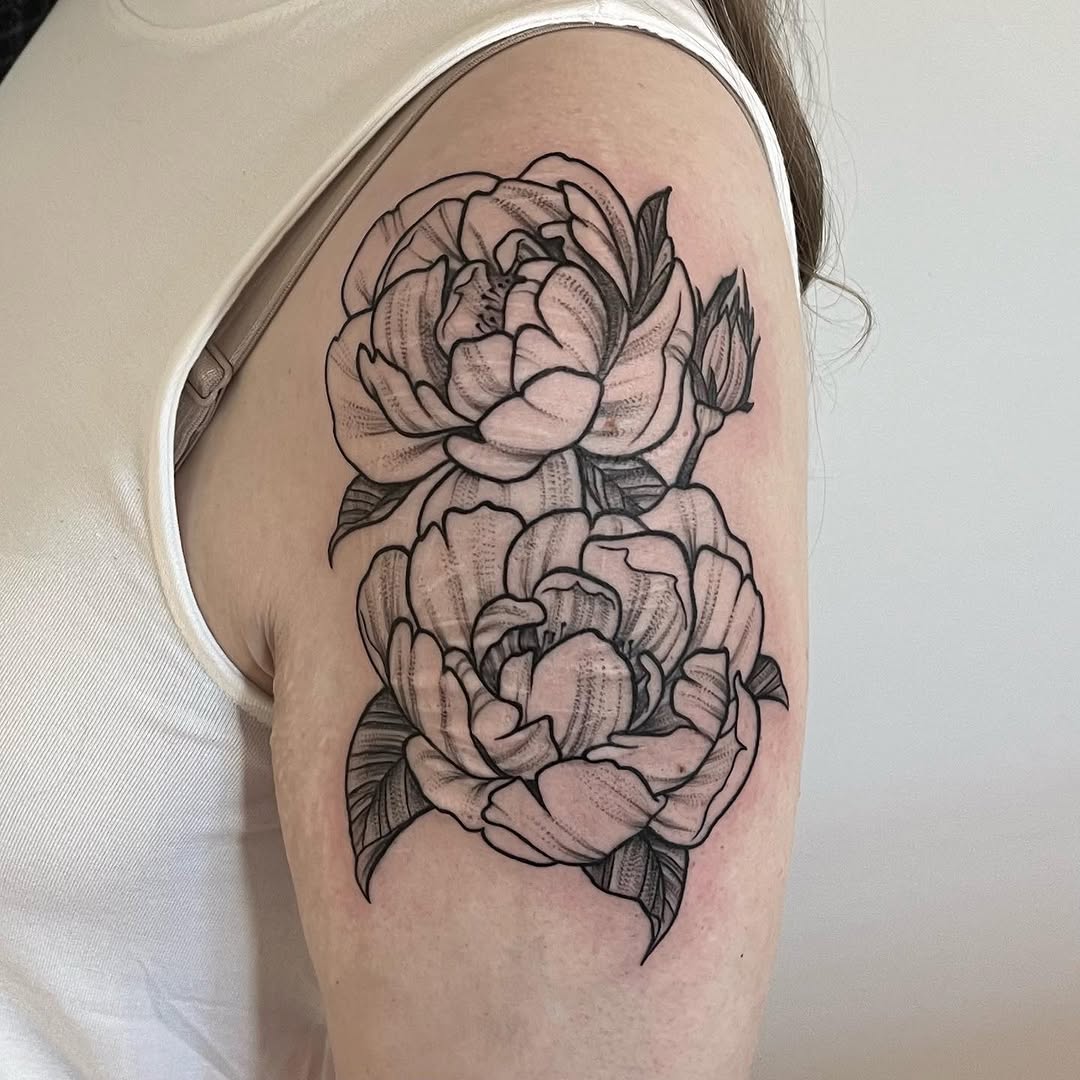 Flower, Rose, Nature