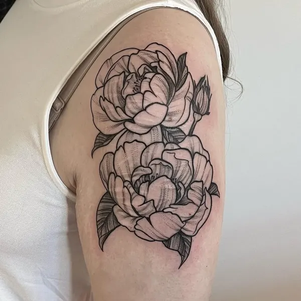 Flower, Rose, Nature