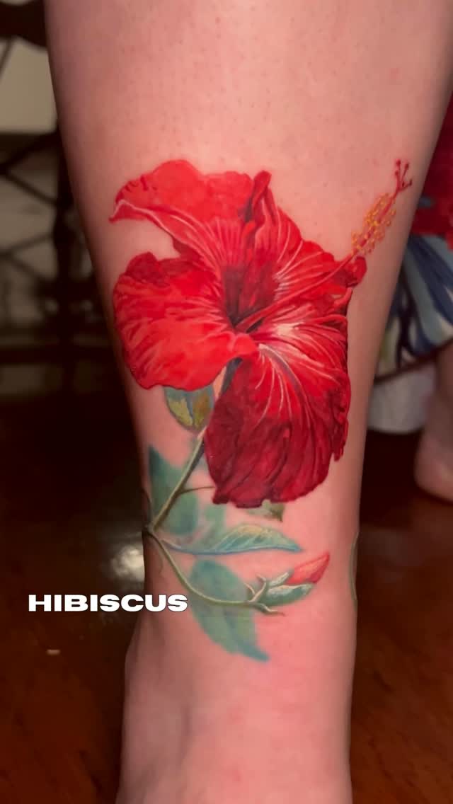 Flower, Nature, 히비스커스