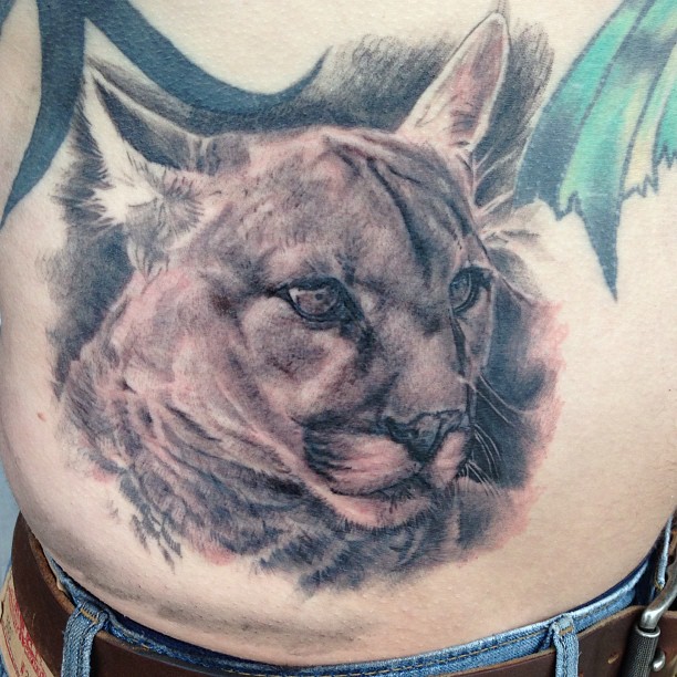 Tiger