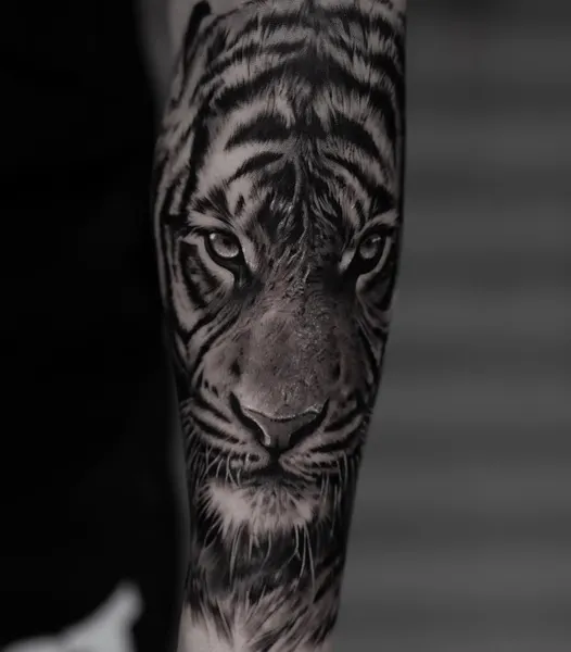 중국 호랑이, 일본 호랑이, Tiger