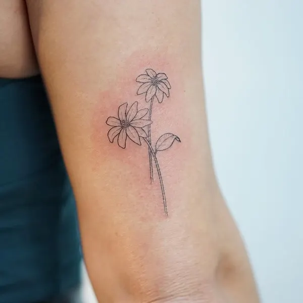 Flower, 야생화, 카네이션