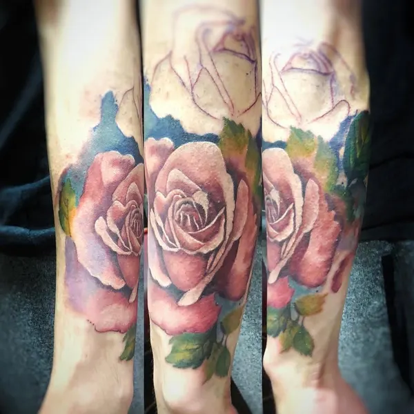 Flower, Rose