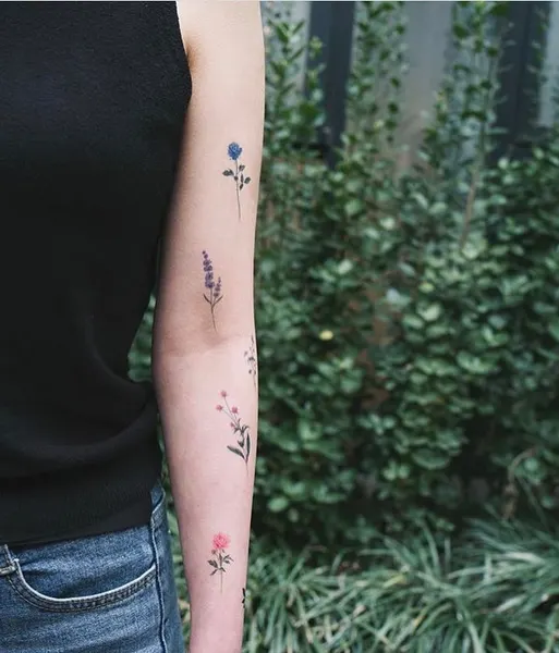 equilattera