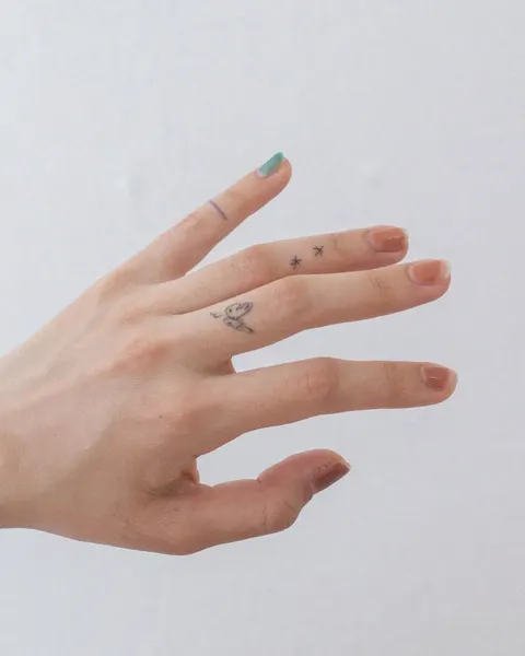 Animal, Nature, 나비
