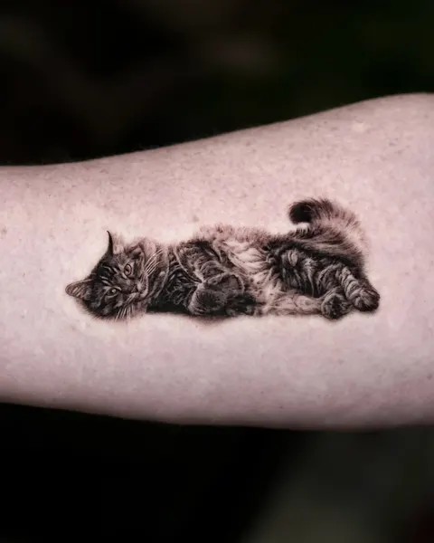 Animal