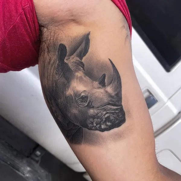 돼지, Animal, 황소, 멧돼지