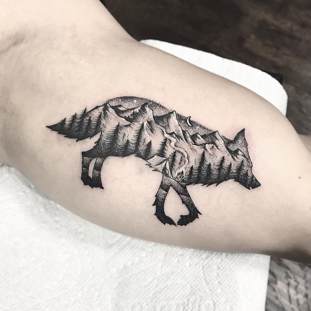 Animal, 돼지, 멧돼지