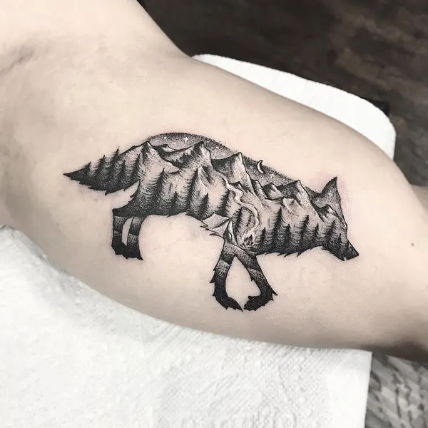 Animal, 돼지, 멧돼지