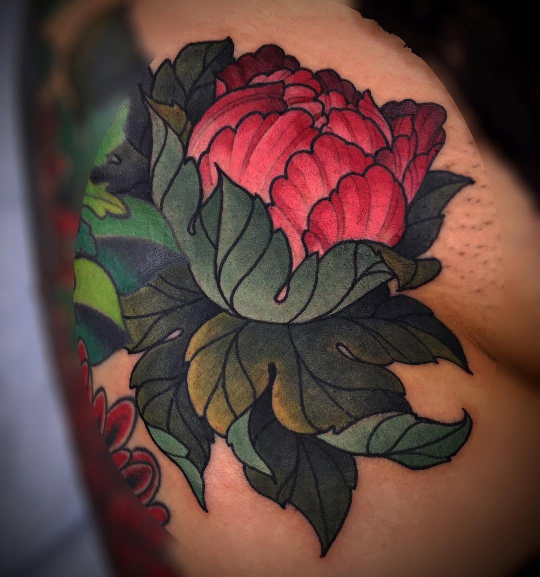Flower, Rose