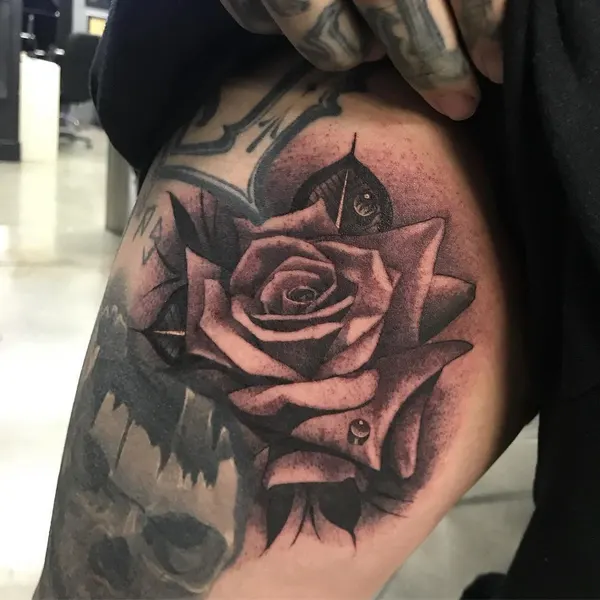 Flower, Rose
