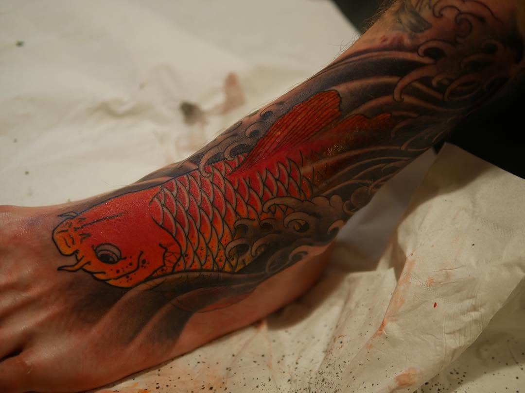 Animal, 잉어