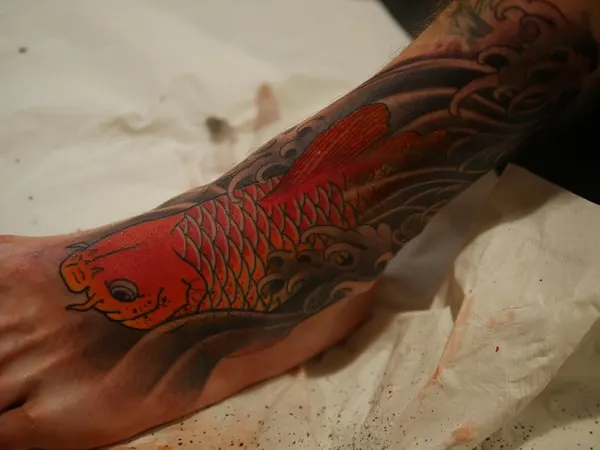 Animal, 잉어