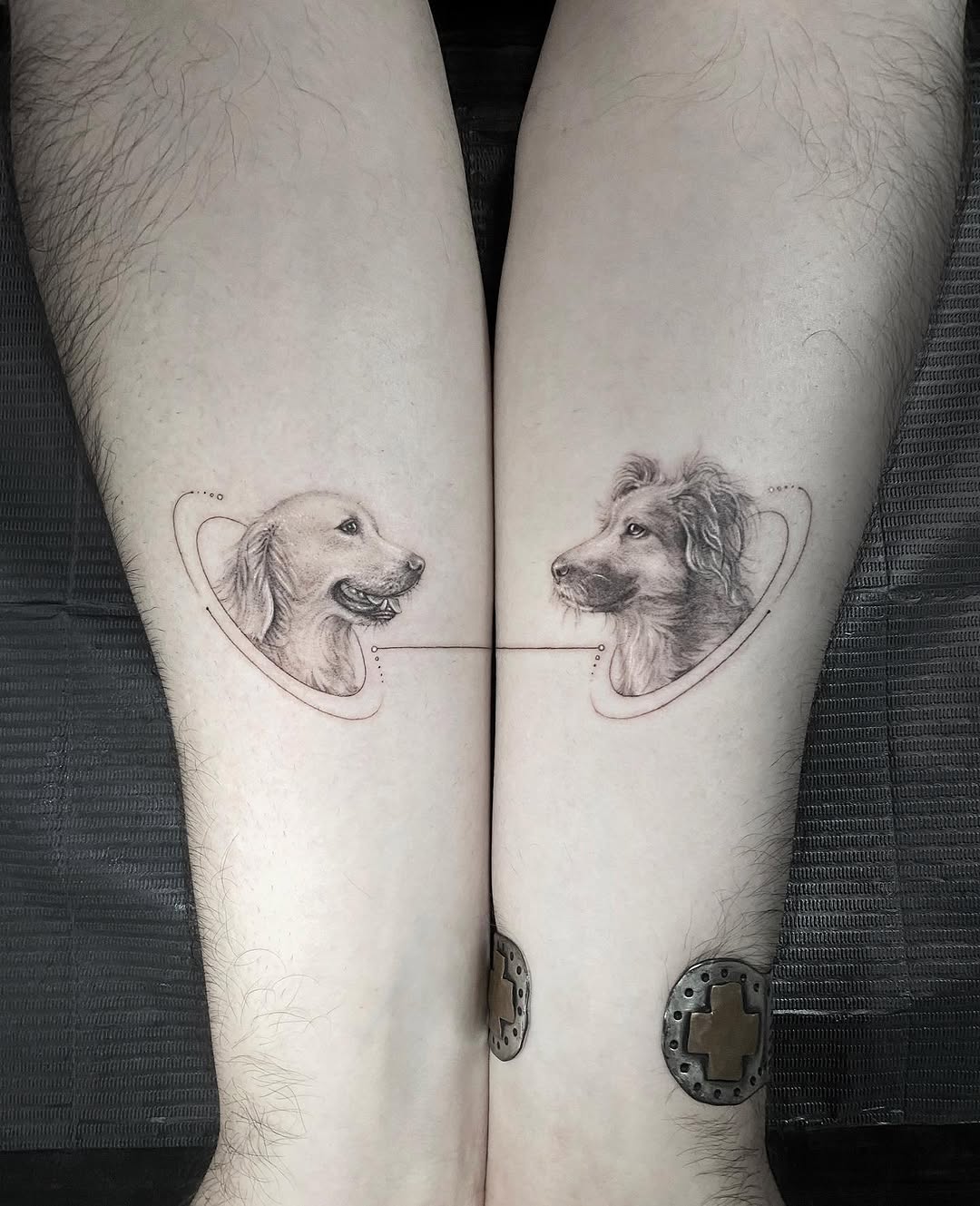 Animal