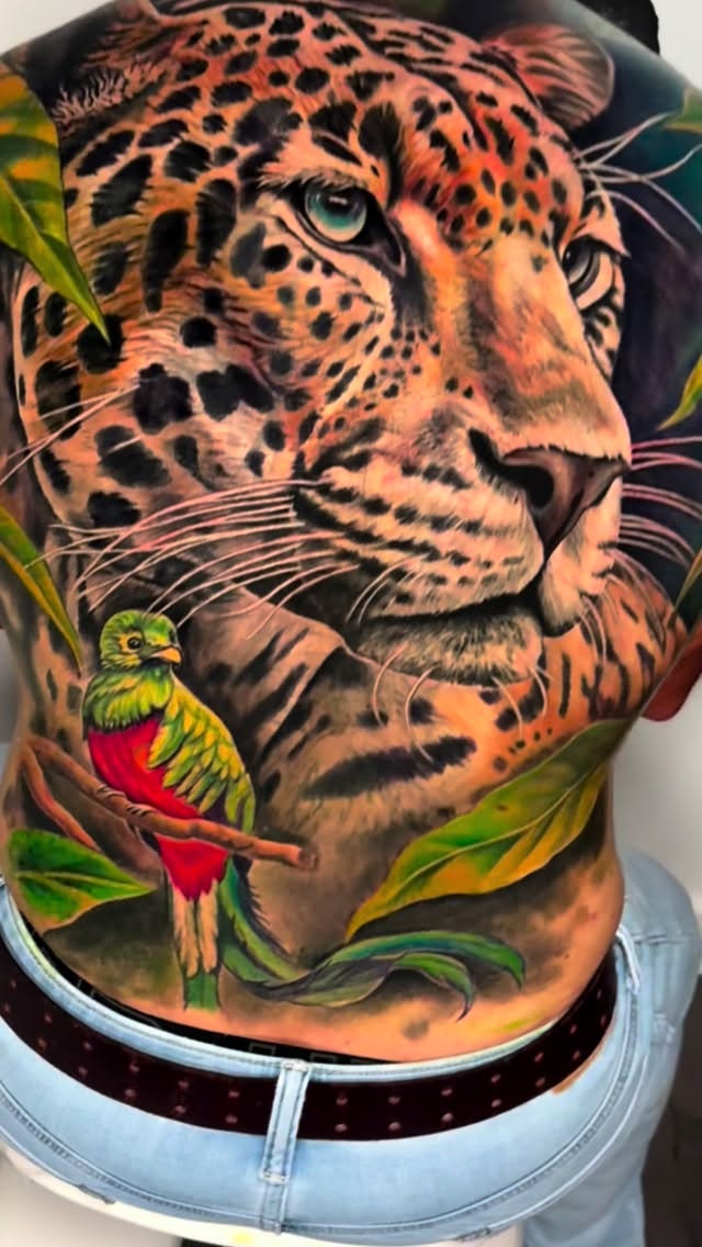 Animal, 치타, 표범, 재규어