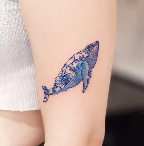 상어, 고래, 조개, 물고기, 돌고래
