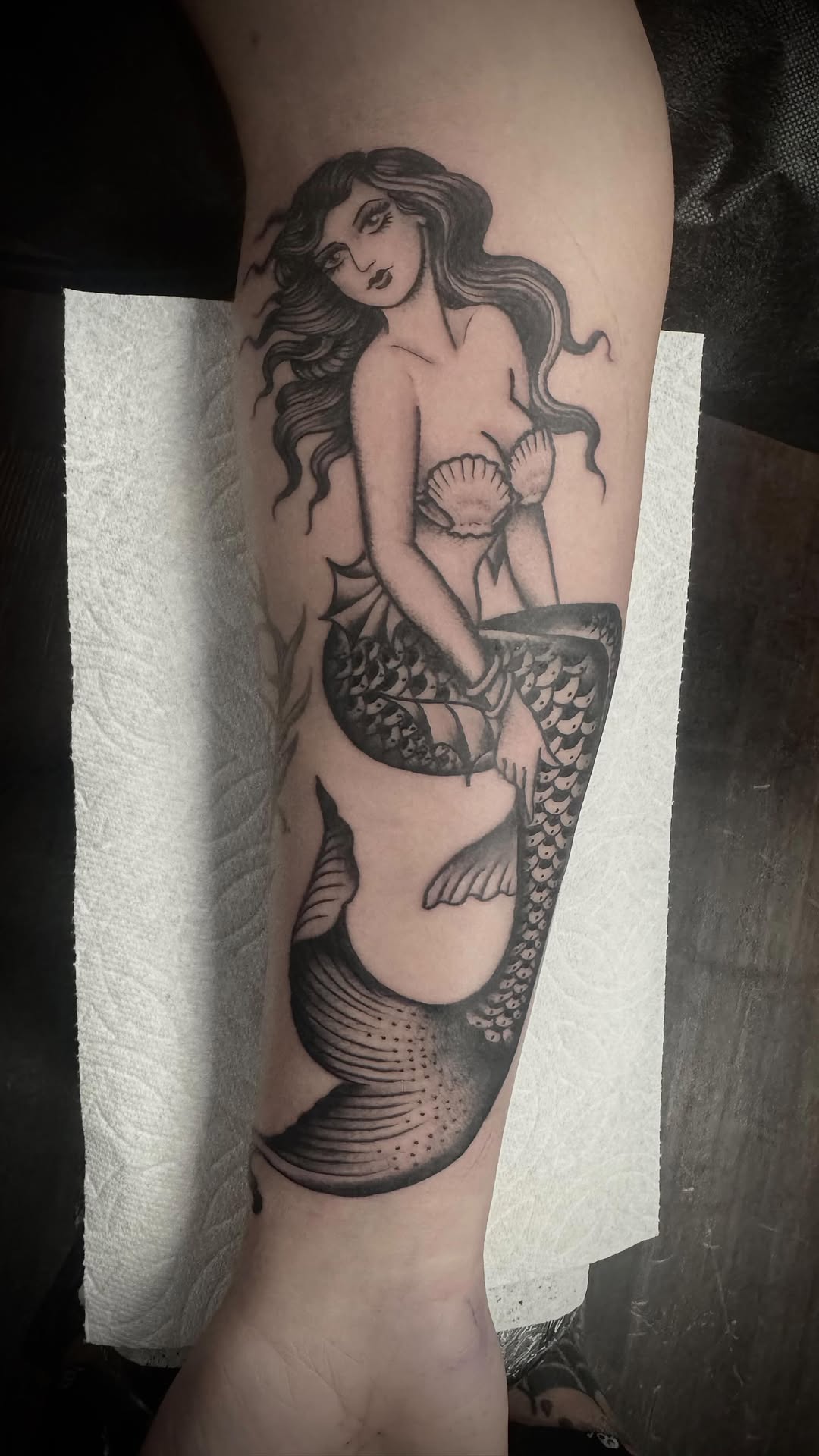 Dragon, 인어, 세이렌