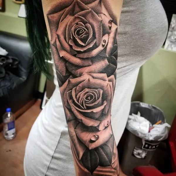 Flower, Rose
