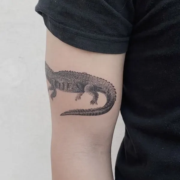 Dragon, 악어